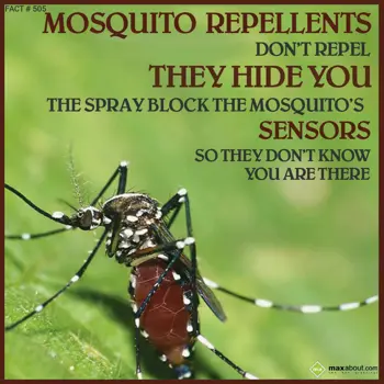 Miscellaneous Facts Wishes: Mosquito repellents 