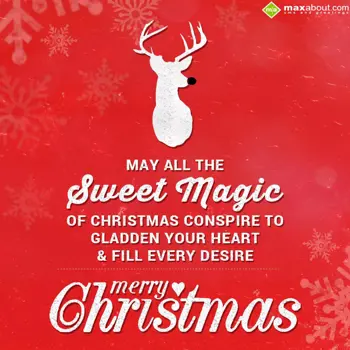 Christmas Greetings Wishes: May all the sweet ma