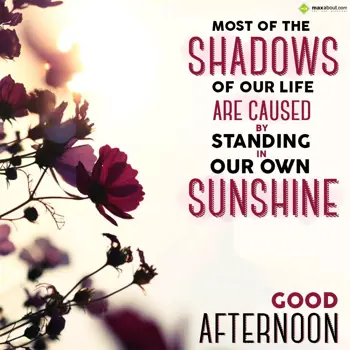 Good Afternoon Greetings Wishes: Most of the shadows 