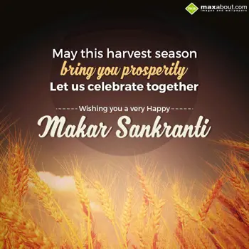 Makar Sankranti Wishes: May this harvest sea