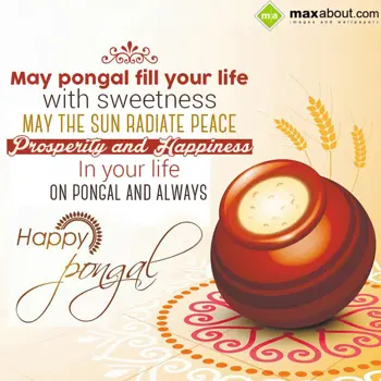 Pongal Wishes Wishes: May Pongal fill your