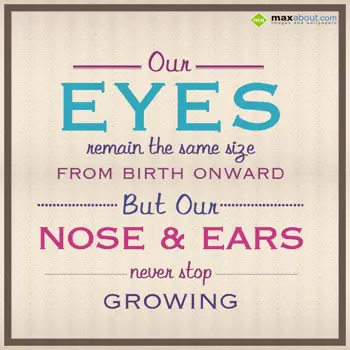 Human Body Facts Wishes: Our eyes remain the 