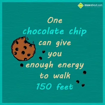 Facts Wishes: One chocolate chip c