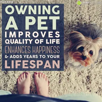 Animal Facts Wishes: Owning a pet improve