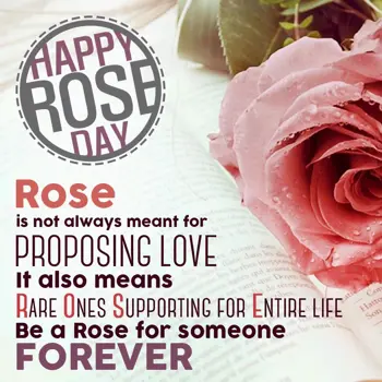 Rose Day Wishes: Rose is not always m