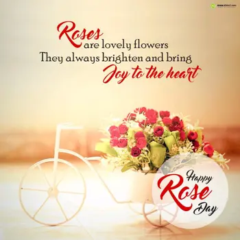 Rose Day Wishes: Roses are lovely flo