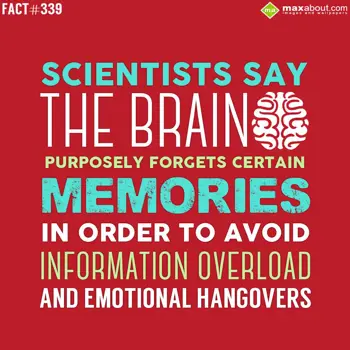 Human Body Facts Wishes: Scientists say the b