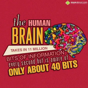 Human Body Facts Wishes: The human Brain take