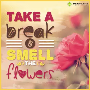 Cool Wishes: Take a break and sme