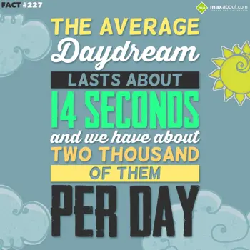 Human Body Facts Wishes: The average daydream