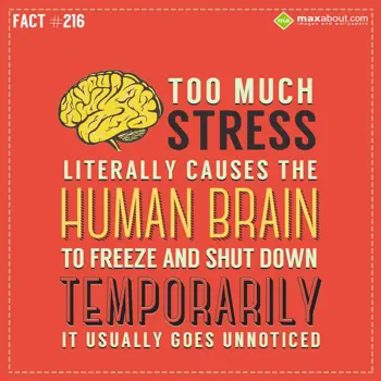 Miscellaneous Facts Wishes: Too much stress lite