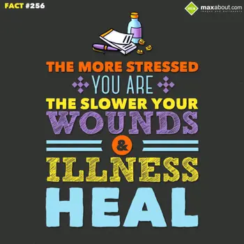 Human Body Facts Wishes: The more stressed yo