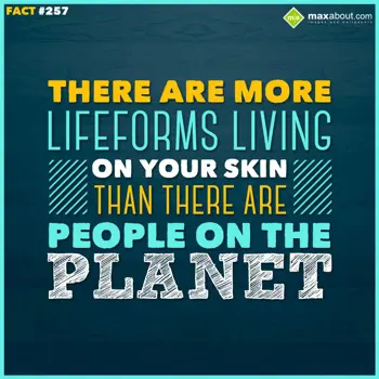 Human Body Facts Wishes: There are more lifef