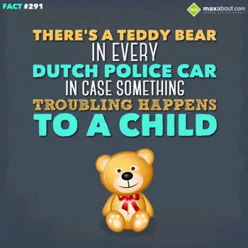 Country Facts Wishes: There's a teddy bear