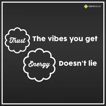 Quotes Wishes: Trust the vibes you 