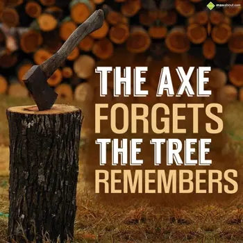 Quotes Wishes: The axe forgets; the