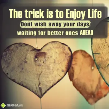 Life Wishes: The trick is to enjo