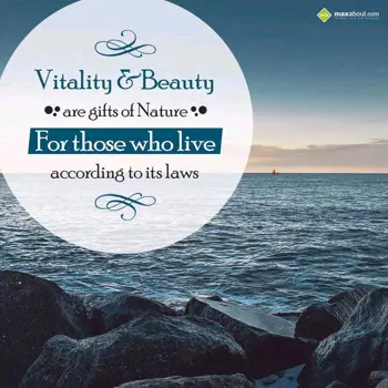 Life Wishes: Vitality & Beauty 
