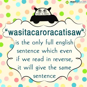 Miscellaneous Facts Wishes: Wasitacaroracatisaw 