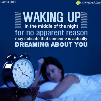 Facts Wishes: Waking up in the mid