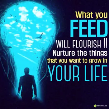 Encouragement Wishes: What you feed will f