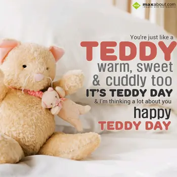 Teddy Bear Day Wishes: You are just like a 