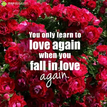 Love Wishes: You only learn to lo