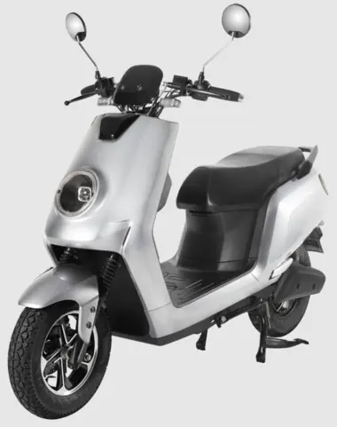 Joy Electric Scooter