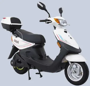 Palatino Electric Scooter