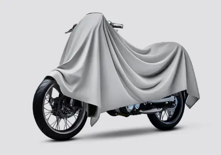 Norton 650