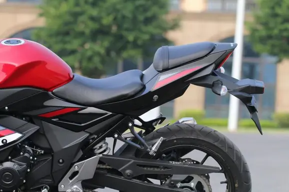 suzuki-gsx250r-official-10