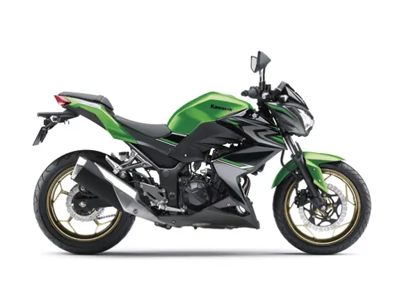 17_ER250C_GN1_RS