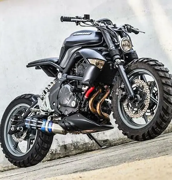Kawasaki ER-6n MAD MAX