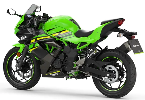 Kawasaki Ninja 125 Rear 3-Quarter View