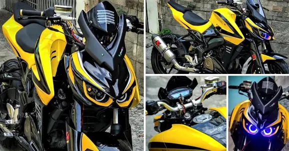 Bajaj Pulsar NS200 Modified into Kawasaki Z1000