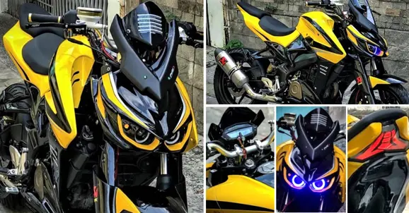 Bajaj Pulsar NS200 Modified into Kawasaki Z1000