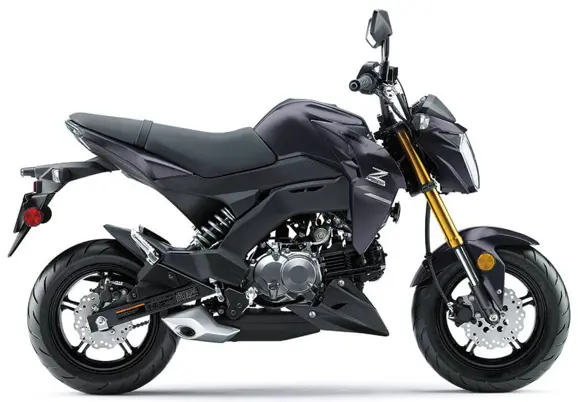 2020 Kawasaki Z125 Pro