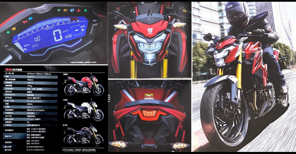 Suzuki GSX-S300 (Haojue DR300) Brochure