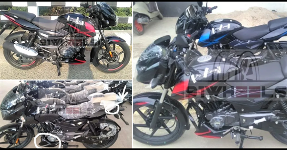 BS6 Bajaj Pulsar 125 Split Seat Spotted