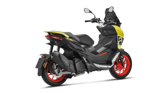  - image