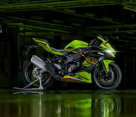  - image