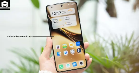 6.3 Inch Display