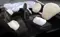 Lexus RX 450hL 10 SRS Airbags