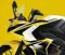 Bajaj Pulsar 200 SS Close-up Shot