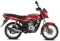 BS6 Bajaj Platina 100 Disc Red