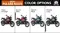 Bajaj Pulsar NS125 Colour Options