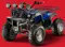 Evolet Warrior Electric Quad Bike