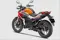 Honda Hornet Repsol Edition Rear 3-Quarter View