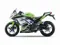 Kawasaki Ninja 300 Anniversary Edition Side View