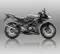 Kawasaki Ninja 150 RR (Grey)